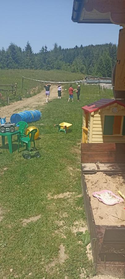 노비 타르그 Gosciniec Dziubasowki 빌라 외부 사진